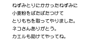 �G�{�W����